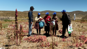 Lire la suite à propos de l’article MARDI 18 NOVEMBRE – Mascarades de Claire Second