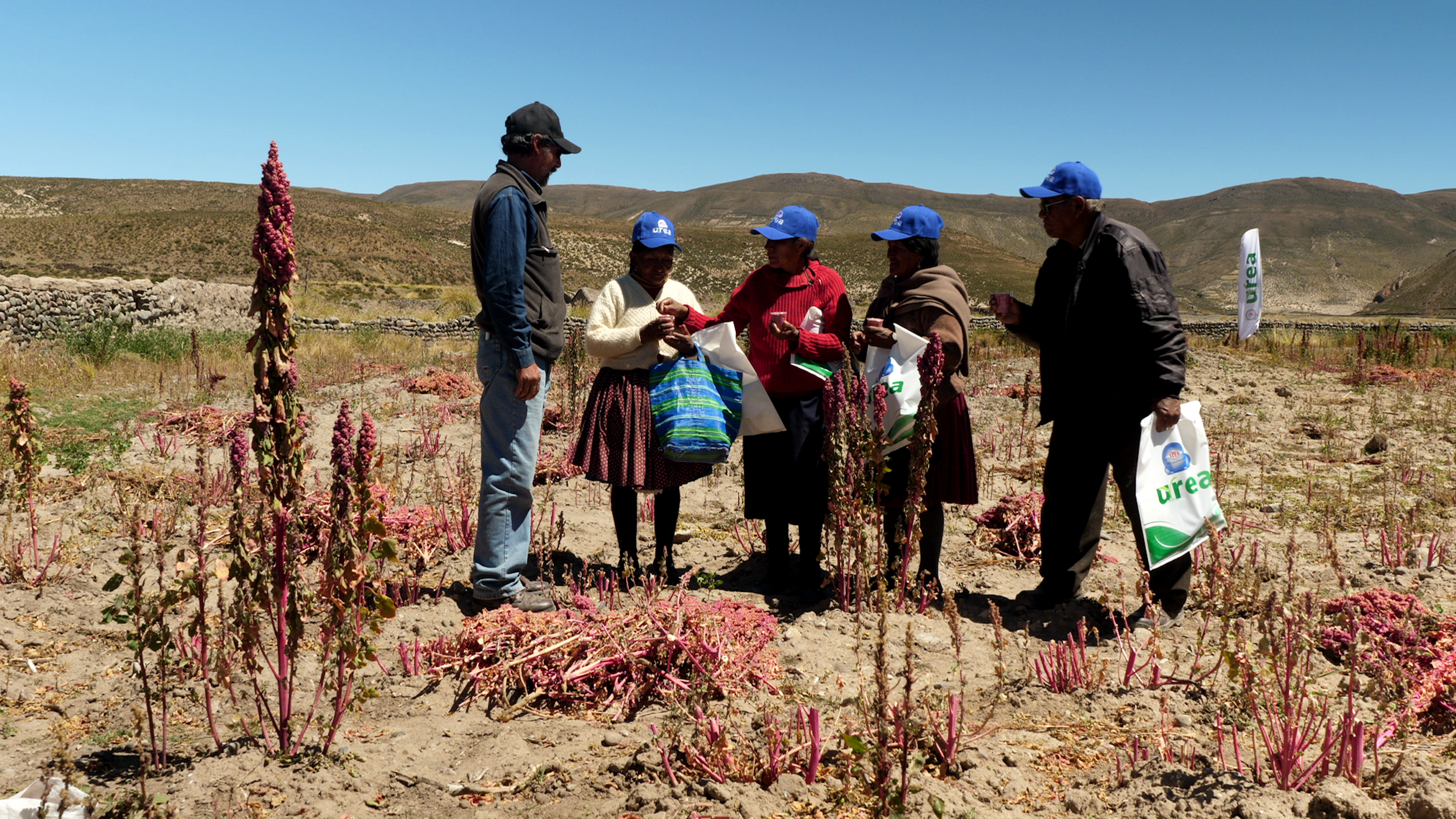 Lire la suite à propos de l’article MARDI 18 NOVEMBRE – Mascarades de Claire Second