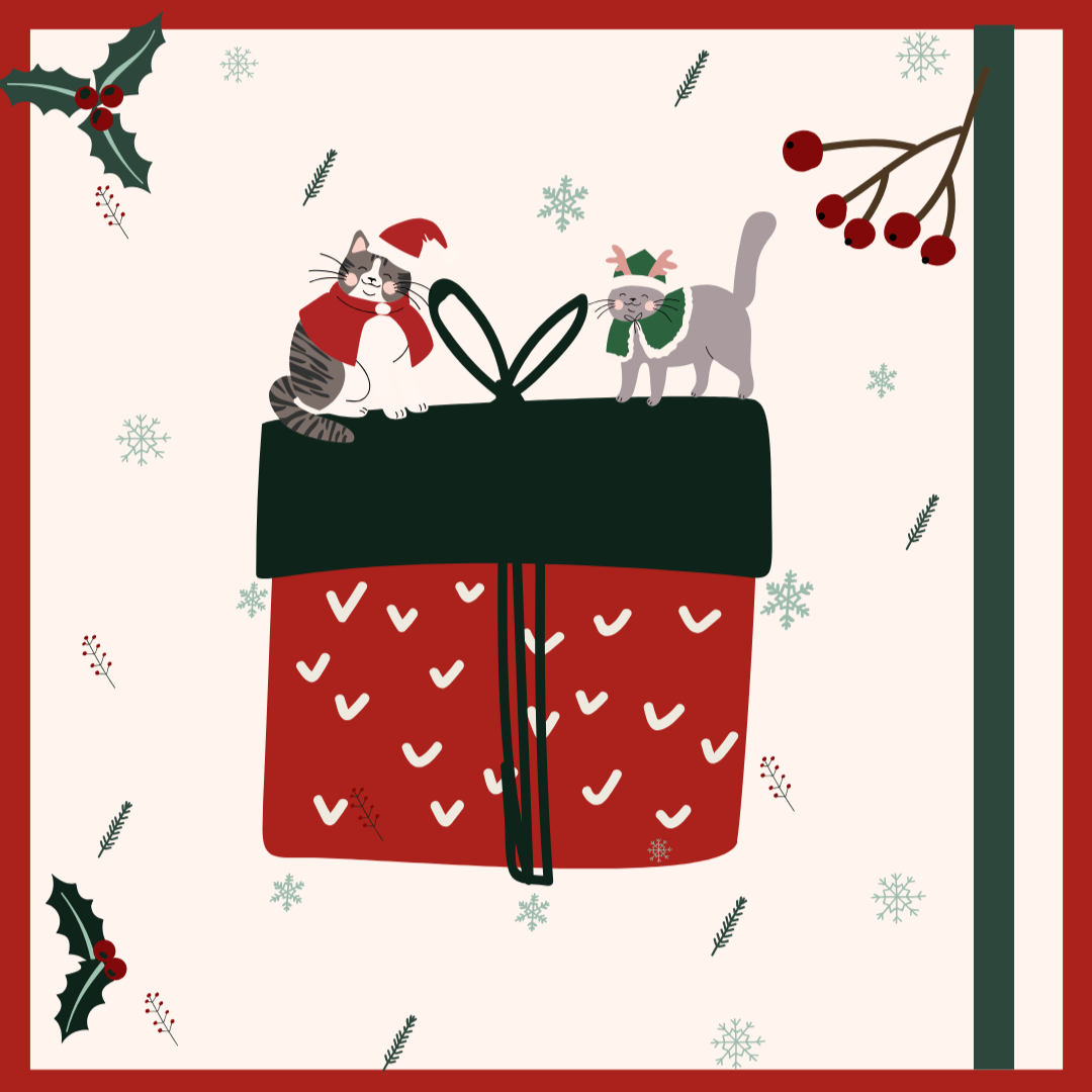 Lire la suite à propos de l’article MERCREDI 17 DÉCEMBRE – Film surprise pour les fêtes !